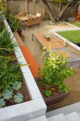 backyard landscape design